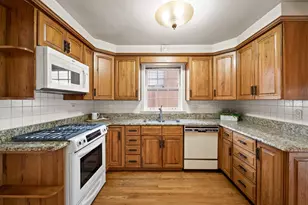 905 S Seminary Ave, Park Ridge, IL 60068 - Photo 15