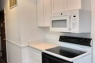 1607 E Maple Terrace, Lisle, IL 60532 - Photo 3