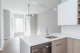 1421 N Dearborn St, Chicago, IL 60610 - Photo 3