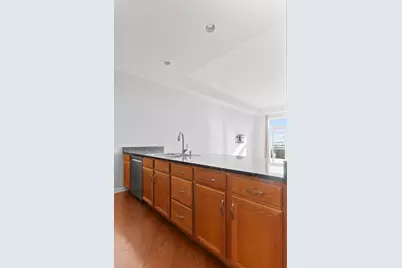 2317 W Wolfram Street #513, Chicago, IL 60618 - Photo 9