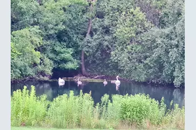 2551 Hybernia Drive, Highland Park, IL 60035 - Photo 37