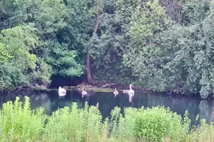 2551 Hybernia Dr, Highland Park, IL 60035 - Photo 37