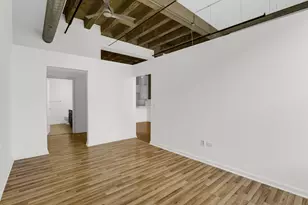 1645 W Ogden Ave, Chicago, IL 60612 - Photo 5