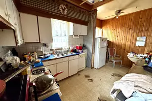 219 W Erie St, Spring Valley, IL 61362 - Photo 9