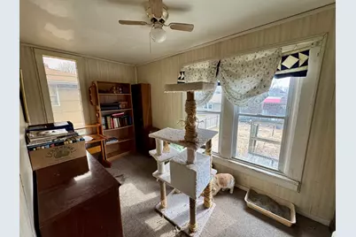 219 W Erie Street, Spring Valley, IL 61362 - Photo 11