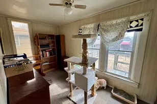 219 W Erie St, Spring Valley, IL 61362 - Photo 11