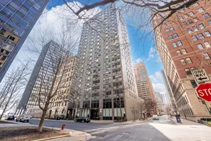 253 E Delaware Pl, Chicago, IL 60611 - Photo 1