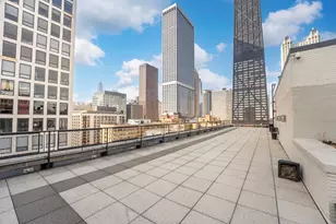 253 E Delaware Pl, Chicago, IL 60611 - Photo 13