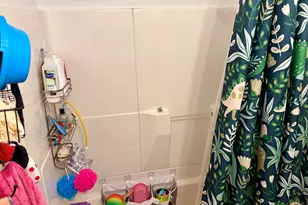 66 Holiday Dr, Clifton, IL 61727 - Photo 29