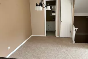 260/262/264/266 Paddock Circle, Glendale Heights, IL 60139 - Photo 9