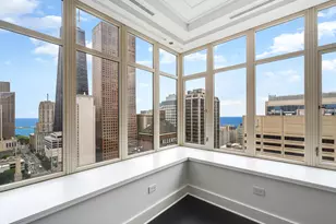 118 E Erie St, Chicago, IL 60611 - Photo 11