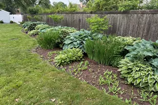 684 Pfingsten Rd, Northbrook, IL 60062 - Photo 11