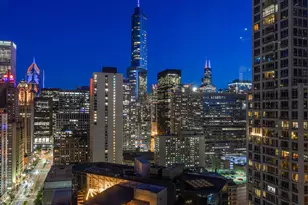 118 E Erie St, Chicago, IL 60611 - Photo 47