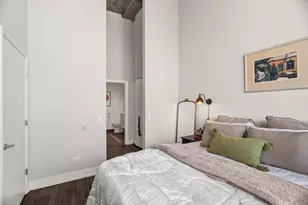 320 E 21st St, Chicago, IL 60616 - Photo 13