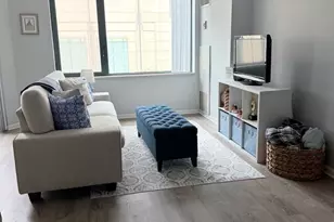 480 N McClurg Ct, Chicago, IL 60611 - Photo 3