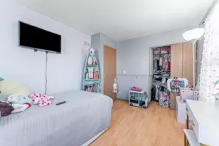 813 Serendipity Dr, Aurora, IL 60504 - Photo 19