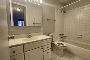1339 N Dearborn St, Chicago, IL 60610 - Photo 9
