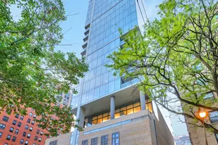 4 E Elm St, Chicago, IL 60611 - Photo 1