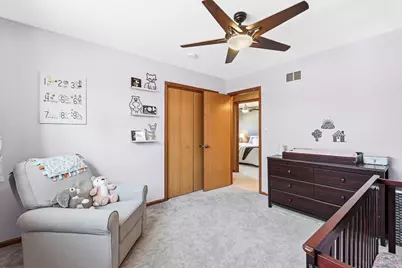 25546 S Linden Avenue, Monee, IL 60449 - Photo 9