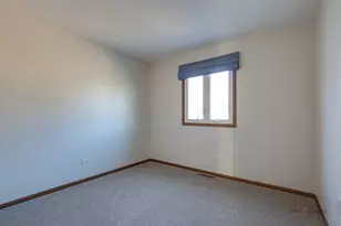 24423 W Tyler Ave, Round Lake, IL 60073 - Photo 17