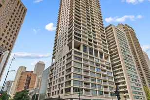 1000 N Lake Shore Plaza, Chicago, IL 60611 - Photo 1