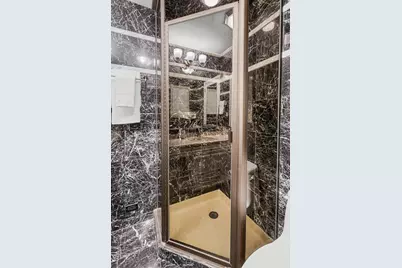 1000 N Lake Shore Plaza #49A, Chicago, IL 60611 - Photo 61