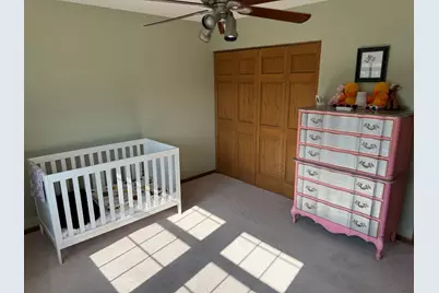 8111 Old Mill Road, Frankfort, IL 60423 - Photo 17