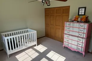 8111 Old Mill Rd, Frankfort, IL 60423 - Photo 17