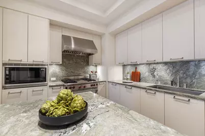 159 E Walton Place #9E, Chicago, IL 60611 - Photo 11