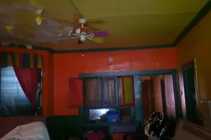 1010 N Ridgeway Ave, Chicago, IL 60651 - Photo 3