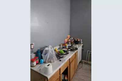 1010 N Ridgeway Avenue, Chicago, IL 60651 - Photo 5