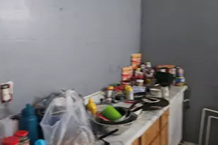 1010 N Ridgeway Ave, Chicago, IL 60651 - Photo 5