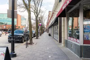 547 S Poplar Ave, Elmhurst, IL 60126 - Photo 51