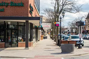 547 S Poplar Ave, Elmhurst, IL 60126 - Photo 49