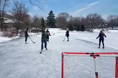 1620 Pheasant Trail, Inverness, IL 60067 - Photo 35