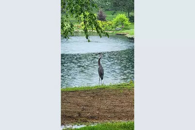 1620 Pheasant Trail, Inverness, IL 60067 - Photo 37