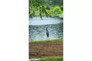 1620 Pheasant Trail, Inverness, IL 60067 - Photo 37