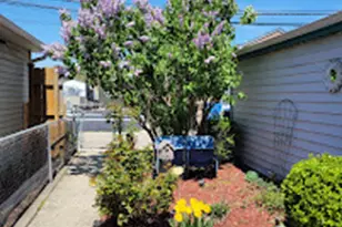 4944 W Winona St, Chicago, IL 60630 - Photo 33