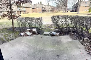 264 E Bailey Rd, Naperville, IL 60565 - Photo 13