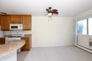 1205 E Hintz Rd, Arlington Heights, IL 60004 - Photo 9