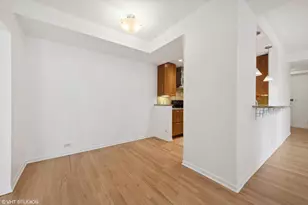 2100 N Lincoln Park W, Chicago, IL 60614 - Photo 5