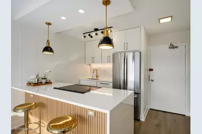 1360 N Sandburg Terrace #1209C, Chicago, IL 60610 - Photo 3