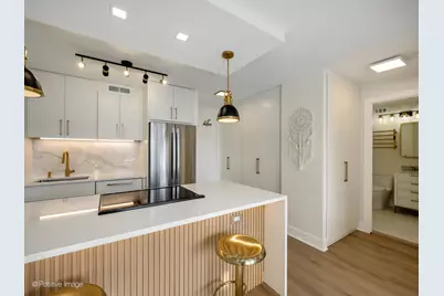 1360 N Sandburg Terrace #1209C, Chicago, IL 60610 - Photo 5