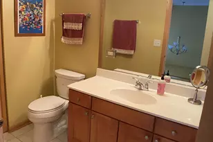 2450 Abbey Dr, Darien, IL 60561 - Photo 47