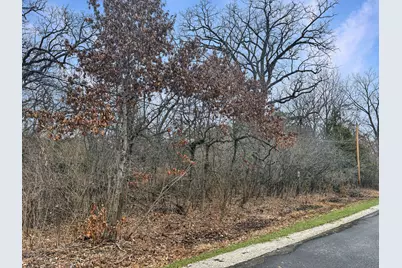 12346 W Sallmon Avenue, Beach Park, IL 60087 - Photo 1