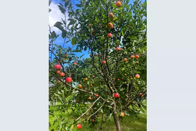 1045 Browning Lane, Lake Zurich, IL 60047 - Photo 41