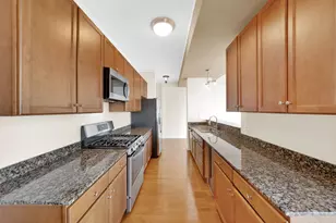 450 E Waterside Dr, Chicago, IL 60601 - Photo 11