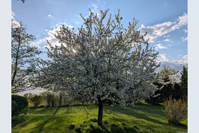 19905 State Line Road, Harvard, IL 60033 - Photo 41
