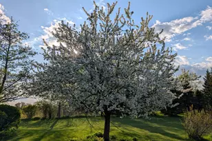 19905 State Line Rd, Harvard, IL 60033 - Photo 41