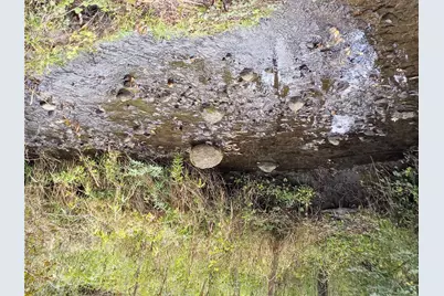 19905 State Line Road, Harvard, IL 60033 - Photo 43